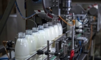 Україна за 5 років подвоїла виробництво молока екстра-класу