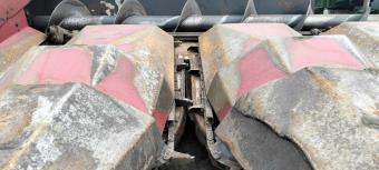 Жниварка для кукурудзи Dominioni 8-рядна foto 3